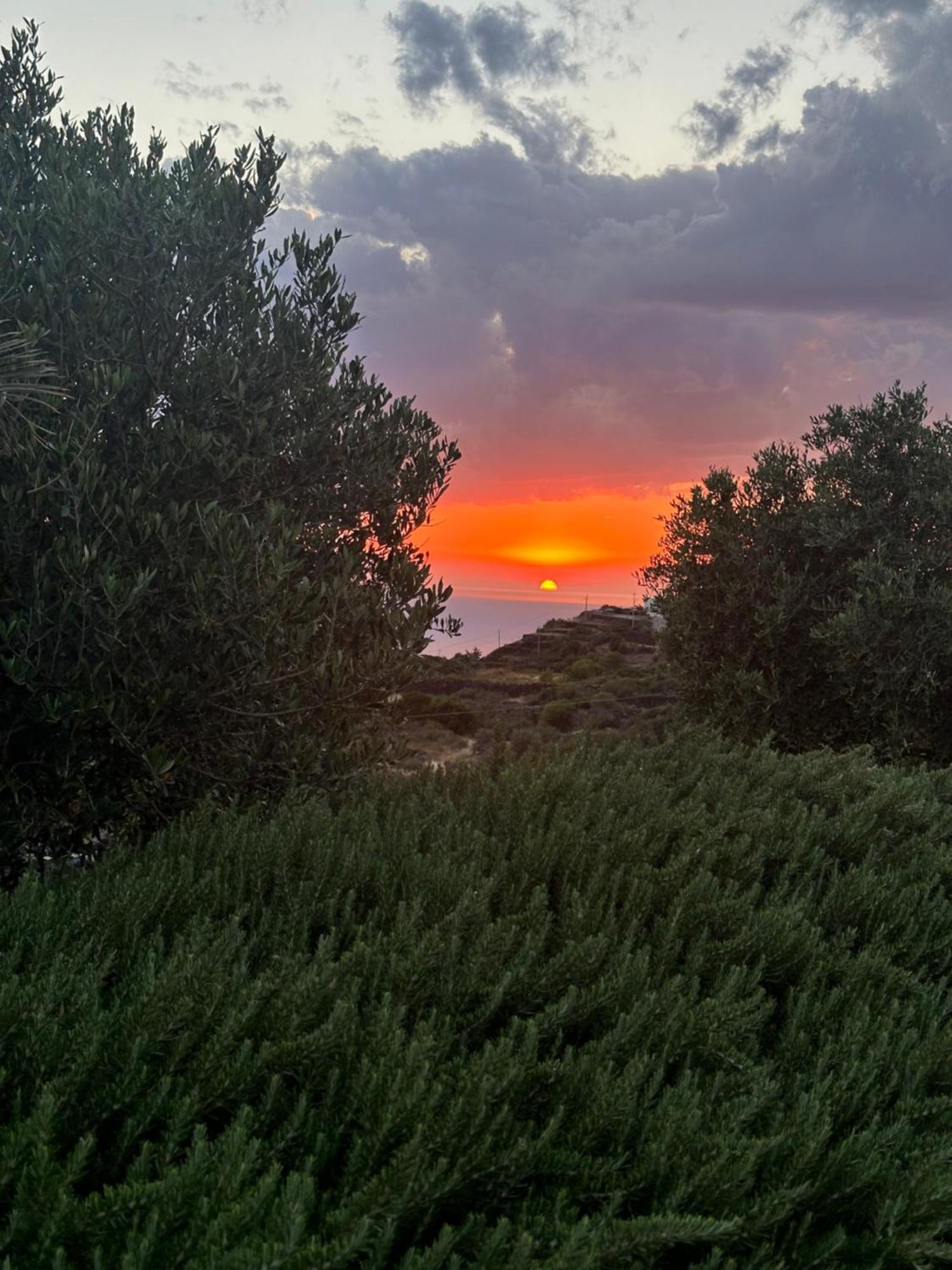 Dammuso Favarelle Da Caty Daire Scauri  Dış mekan fotoğraf